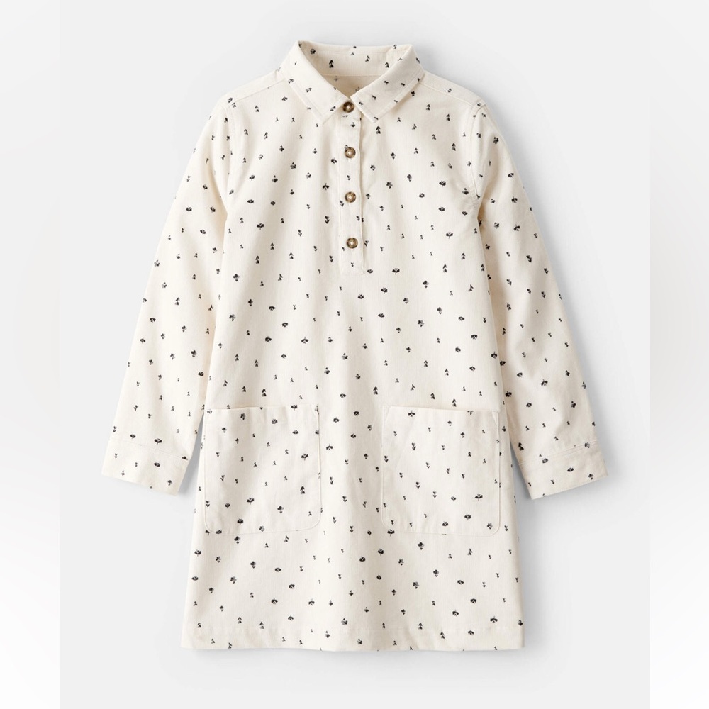 NWT Carter's Girls Floral Corduroy Dress in Ivory